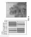 Fig. 09 - METHODS AND COMPOSITIONS FOR CONTROLLING PLANT VIRAL INFECTION