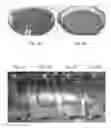 Fig. 02 - Method of controlling water surface inhabiting pests