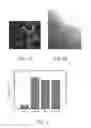 Fig. 02 - Ceramic material having a positive slow release effect, method for manufacturing the same, and system comprising the same