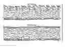 Fig. 01 - Atmospherically Fried Crisps, Equipment and Method for Making Same