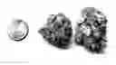 Fig. 01 - Coated bite-sized snacks