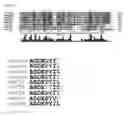 Fig. 12 - Dietary peptides