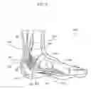 Fig. 08 - Sock with support assemblage