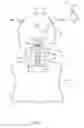 Fig. 07 - Protective head support assembly