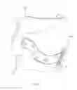Fig. 09 - STRESS TEST GARMENT AND METHOD OF USE