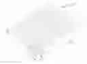Fig. 01 - Cushioning for a sole structure of performance footwear
