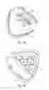 Fig. 05 - Device for treating human keratinous material, in particular with the aid of an electric current