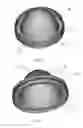 Fig. 04 - Lip balm applicator and method for manufacturing a lip balm applicator