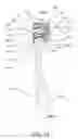 Fig. 20 - Oral care implement