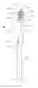 Fig. 01 - Oral care implement