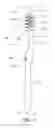 Fig. 02 - Oral care implement