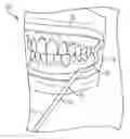 Fig. 01 - Oral hydration apparatus