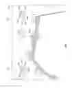 Fig. 04 - Coaster