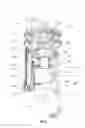 Fig. 09 - DIRT SEPARATOR AND VACUUM CLEANER