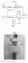 Fig. 04 - Endoscopic devices and methods using same