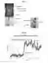 Fig. 13 - Endoscopic devices and methods using same
