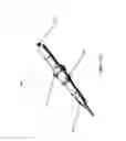 Fig. 05 - BALLOON ATHERECTOMY CATHETERS WITH IMAGING