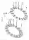 Fig. 07 - Dermatoscope device