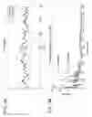 Fig. 14 - SYSTEMS AND METHODS FOR REVASCULARIZATION ASSESSMENT