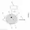 Fig. 04 - Non-invasive method for focal deep-brain stimulation equipment and methodologies