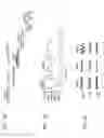 Fig. 03 - SENSORY STIMULI TO INCREASE ACCURACY OF SLEEP STAGING