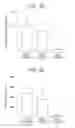 Fig. 04 - Method for assessing pain caused by administration of drug solution, and method for selecting drug solution administration