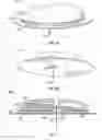Fig. 04 - Transcutaneous analyte sensors, applicators therefor, and associated methods