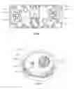 Fig. 86 - Transcutaneous analyte sensors, applicators therefor, and associated methods