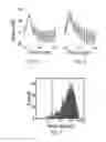 Fig. 05 - Systems and methods for linear-time clustering for bounded, repeatable, rare events in physiological signals