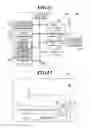 Fig. 11 - Radiographic image capturing system