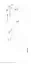 Fig. 27 - DENTAL INSTRUMENT FOR RESTORATIVE PROCEDURES