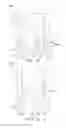 Fig. 08 - Adjustable-prescription orthodontic brackets