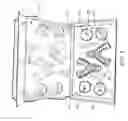 Fig. 06 - DENTAL IMPRESSION KIT AND METHODS THEREFOR