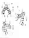 Fig. 49 - DENTAL IMPRESSION KIT AND METHODS THEREFOR