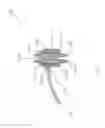 Fig. 71 - Aspiration devices and methods
