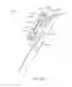 Fig. 115 - Prosthetic capsular devices, systems, and methods