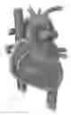 Fig. 08 - Platforms for mitral valve replacement