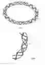 Fig. 09 - Cardiac valve prosthesis