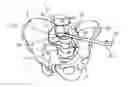 Fig. 01 - SUPPORT DEVICE AND METHOD FOR USE
