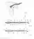 Fig. 02 - Uterotubar implant device