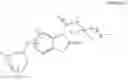 Fig. 98 - METHODS AND COMPOSITIONS FOR TREATING NEURODEGENERATIVE DISORDERS