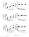 Fig. 04 - METHODS OF TREATMENT USING SELECTIVE BCL-2 INHIBITORS