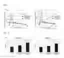 Fig. 02 - Absorption enhancer for polyphenol