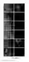 Fig. 45 - Method of Reducing Injury to Mammalian Cells