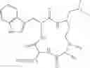Fig. 08 - MODULATION OF HEPATITIS B VIRUS CCCDNA TRANSCRIPTION