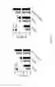Fig. 03 - Use of FGF19 to increase muscle fiber size