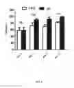 Fig. 05 - Treatment of diabetic nerve injury comprising administering plasminogen