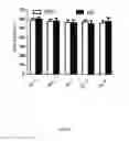 Fig. 06 - Treatment of diabetic nerve injury comprising administering plasminogen