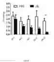 Fig. 07 - Treatment of diabetic nerve injury comprising administering plasminogen