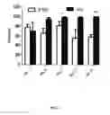 Fig. 08 - Treatment of diabetic nerve injury comprising administering plasminogen